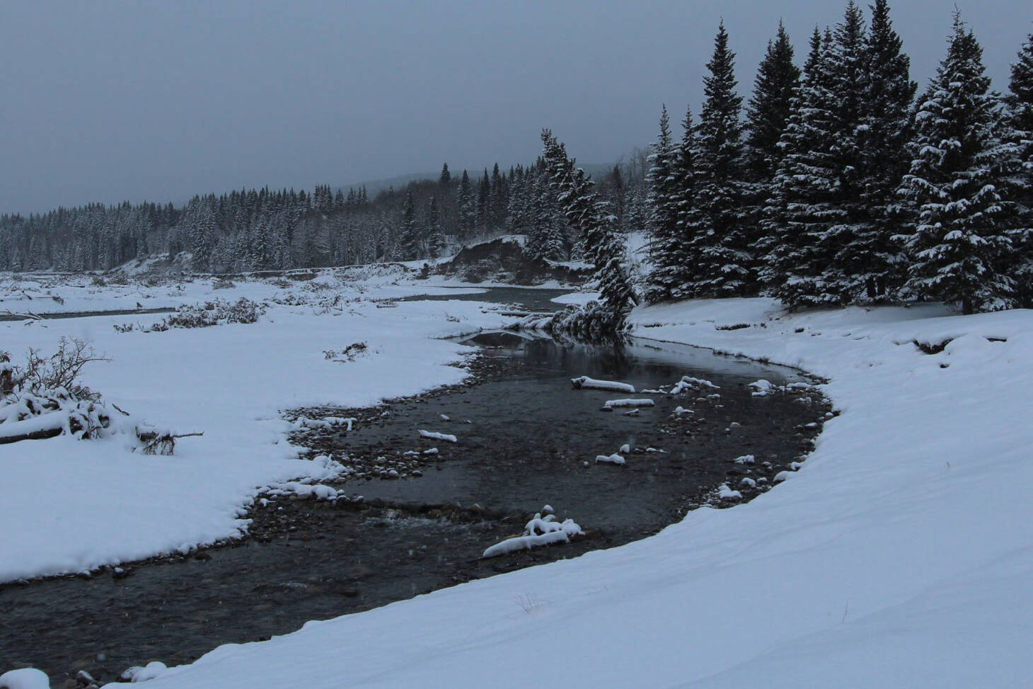 Bragg creek surrounded by snow and trees