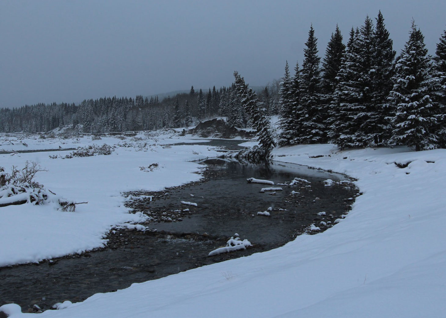 Bragg creek surrounded by snow and trees