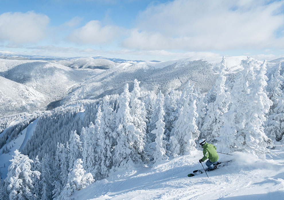 Skier skiing down mountain