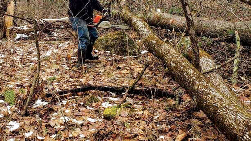 Doug Haddad clearing fallen tree from trail