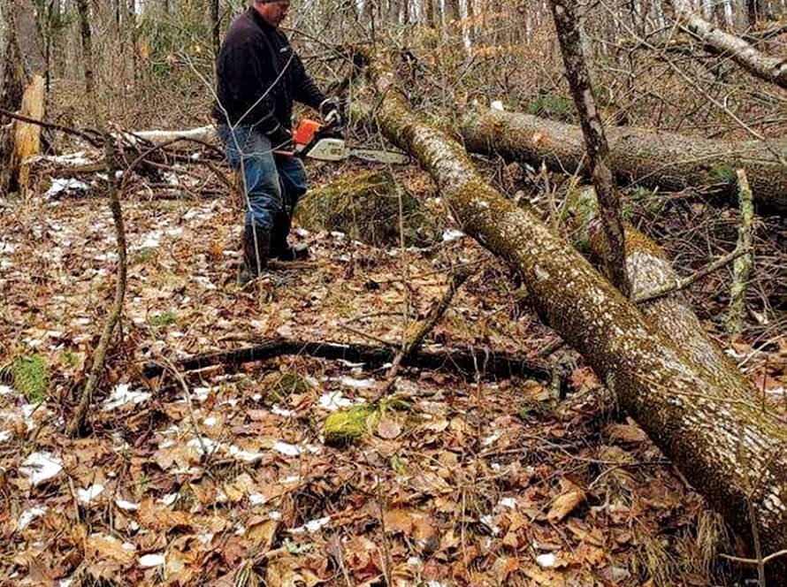 Doug Haddad clearing fallen tree from trail
