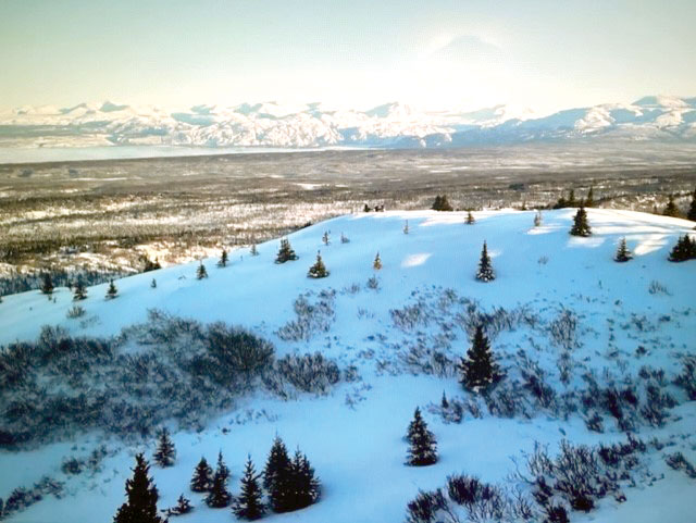 Snow covered mountain top