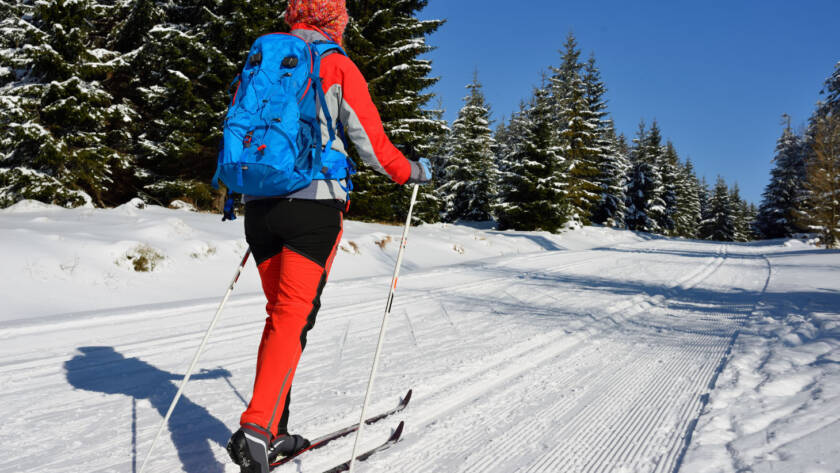 Rear view of cross-country skier