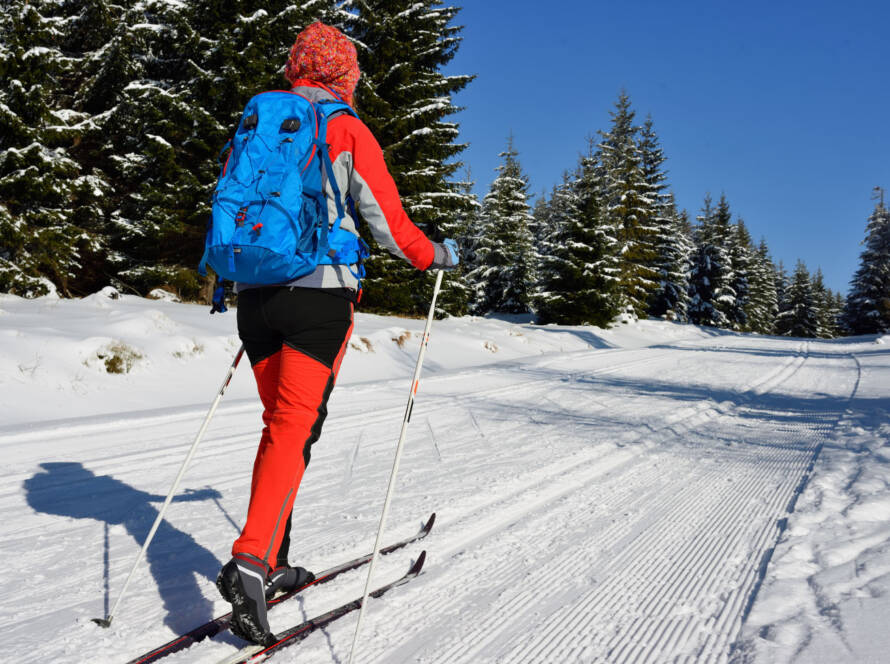 Rear view of cross-country skier