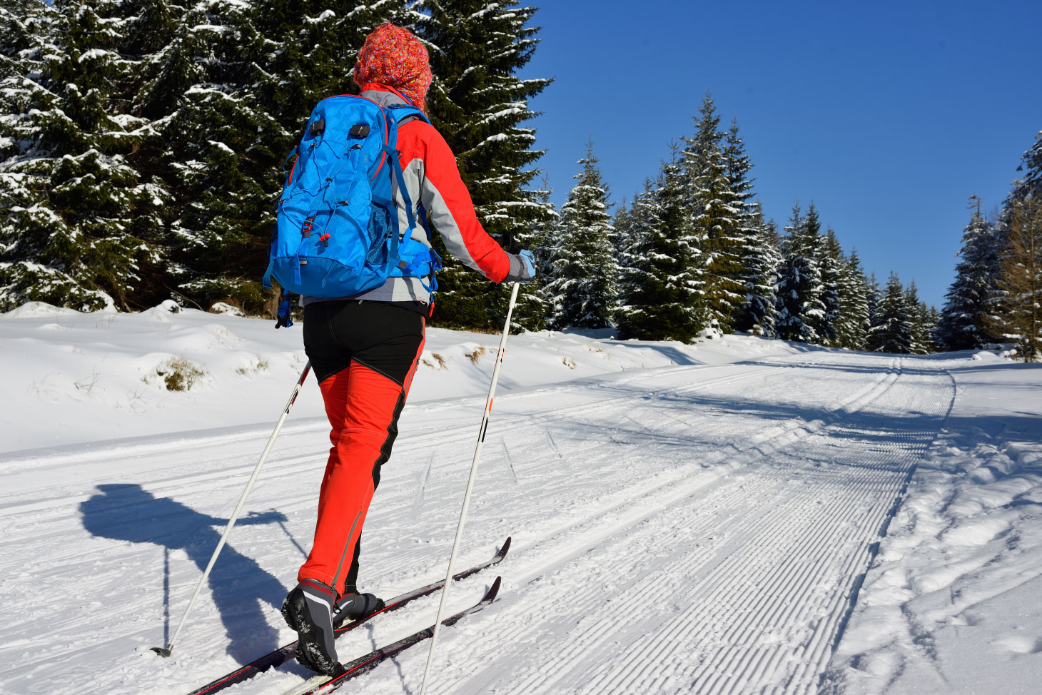 Rear view of cross-country skier