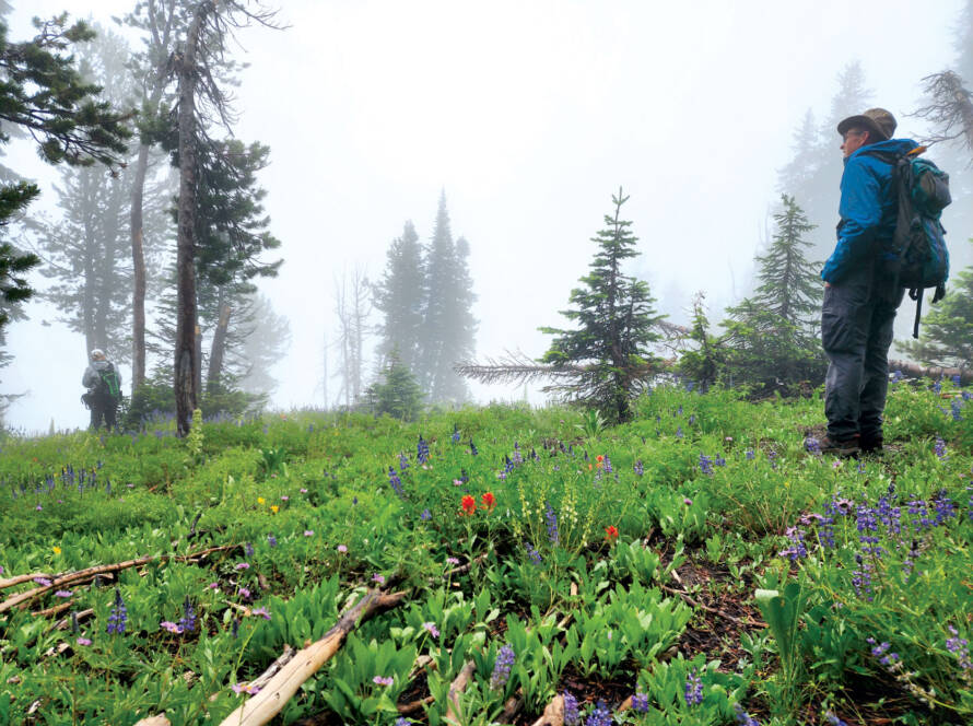 Man surrounded by colourful vegetation looking out at hazy view