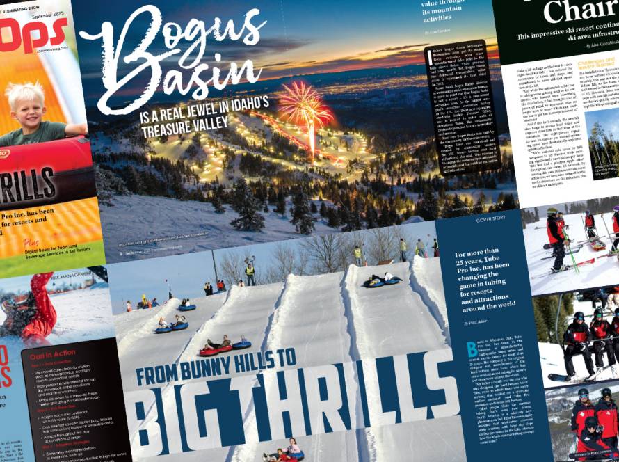 Collage of various magazine pages