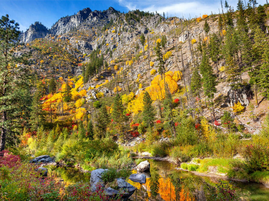 Fall colours over summer at Stevens Pass Leavenworth
