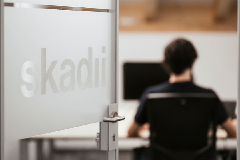 View of skadii office
