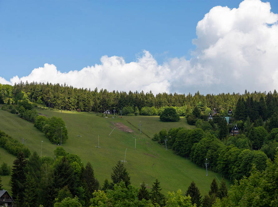 Sunny summer slope with ski lift infrastructure and forest