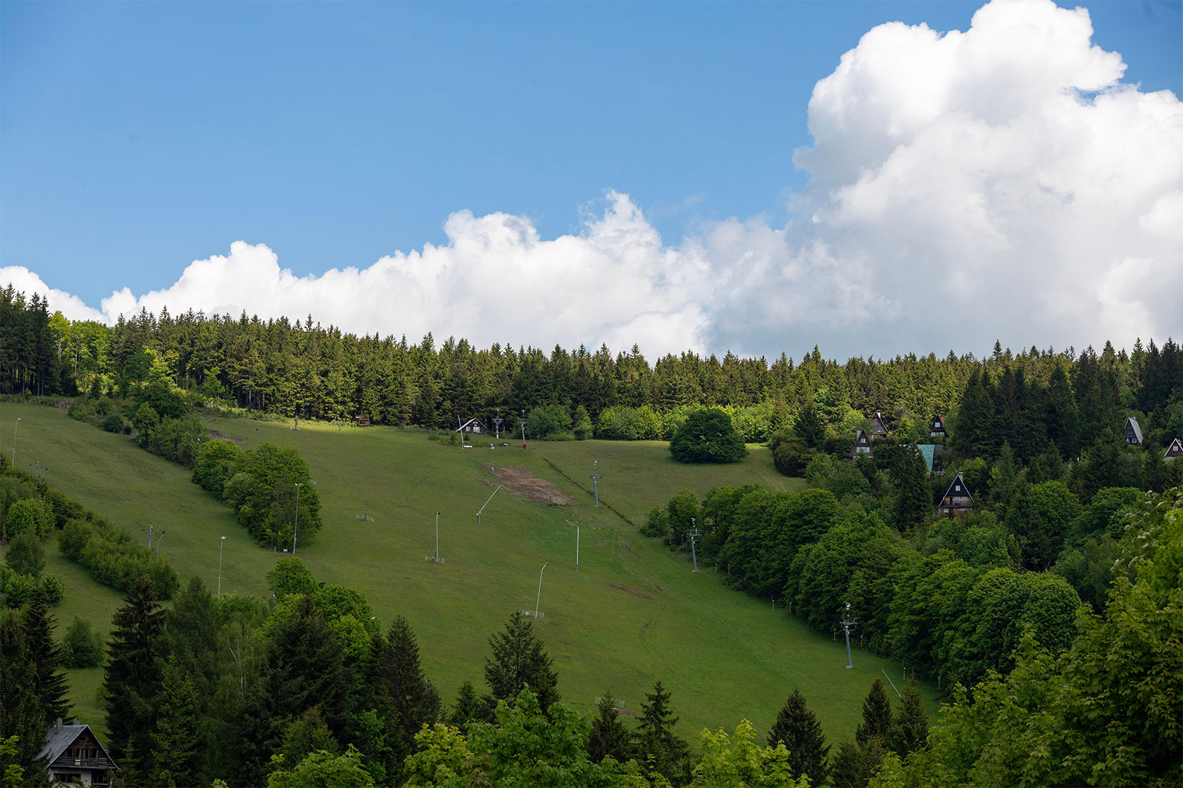 Sunny summer slope with ski lift infrastructure and forest