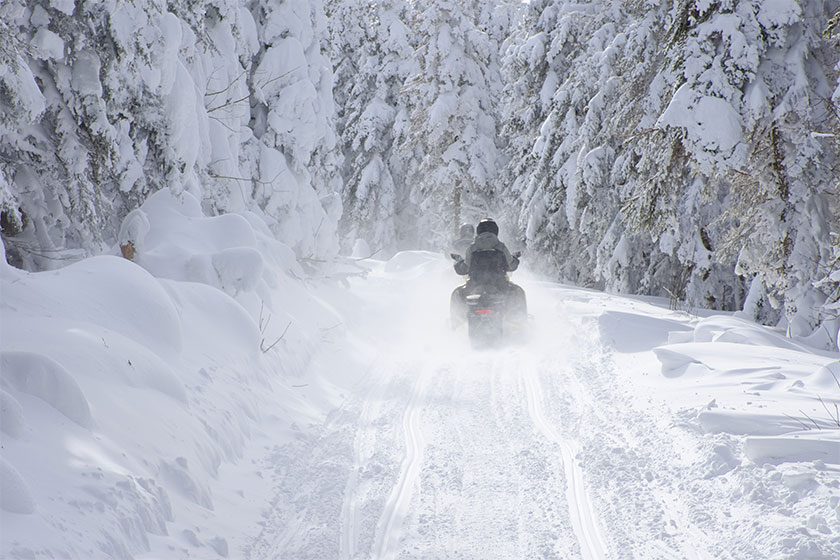 Snowmobile driving on a narrow trail in a snowy forest on a bright winter day