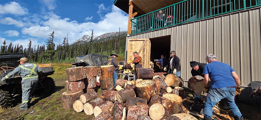 Hauling wood logs outdoor