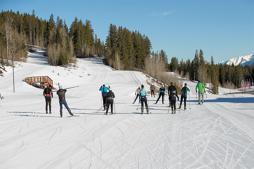 Skiers enjoying the snow